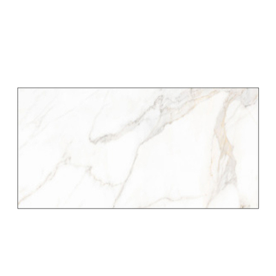 塞尚印象瓷砖鱼肚金寒江雪初雪