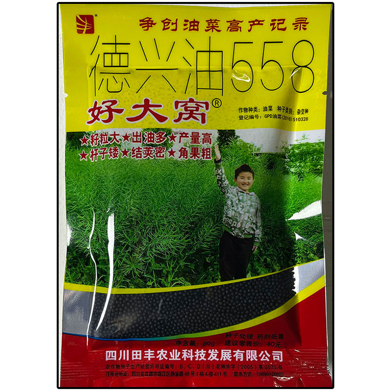 好大窝榨油菜新种籽川油杂交高产