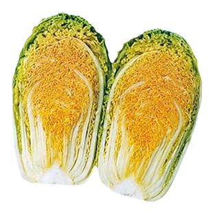 火凤凰白菜种子特嫩好吃白菜 生熟食即可 大白菜种子蔬菜种籽包邮