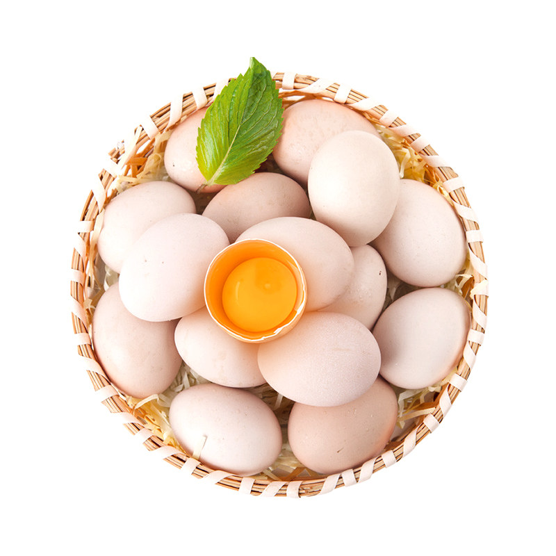 杨博士初生蛋新鲜现捡现发