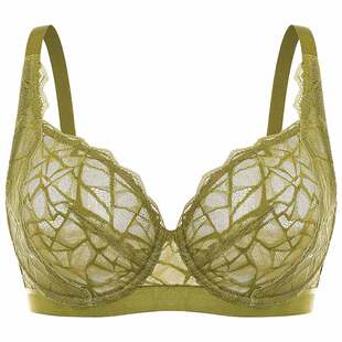 【三角斑纹】HSIA遐内衣女全罩杯聚拢胸罩防下垂轻薄大胸显小文胸