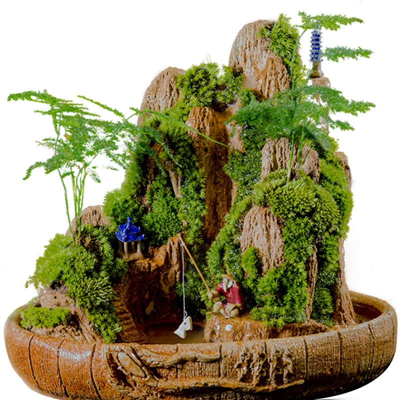 养好发货全活植物假山盆景