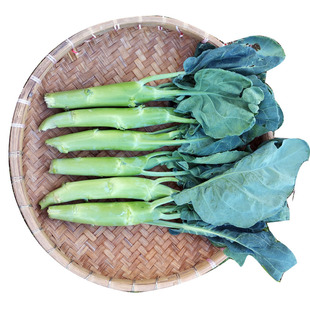 3斤-5斤广东大芥兰粗芥蓝头新鲜蔬菜爽脆甜大笋大芯芥兰泉水