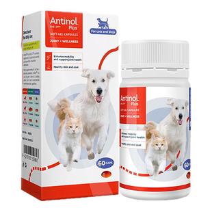新西兰进口安它诺Antinol安替诺277安适得宠物狗狗软骨素猫咪关节