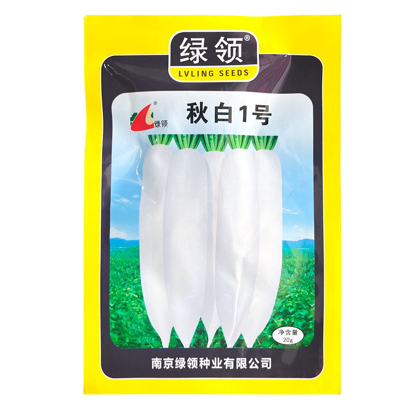南京绿领秋白1号白萝卜种籽中晚熟白皮耐糠心白罗卜蔬菜高产种子