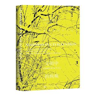 文明中的疯癫 一部关于精神错乱的文化史 甲骨文丛书 安德鲁斯卡尔 社会科学文献出版社官方正版 精神医学史福柯疯癫与文明热销 B