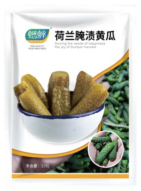 荷兰密刺腌渍黄瓜迷你脆爽