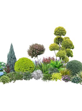 庭院花镜造景植物搭配设计一站式