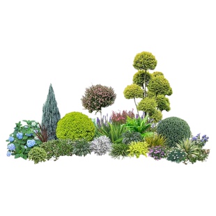 花池造景花镜绿植植物搭配组合室外耐寒花镜植物棒棒糖上门花镜