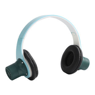 耳灸仪艾灸耳朵神器艾灸头部器具家用耳灸仪头部滤烟艾灸盒艾灸罐