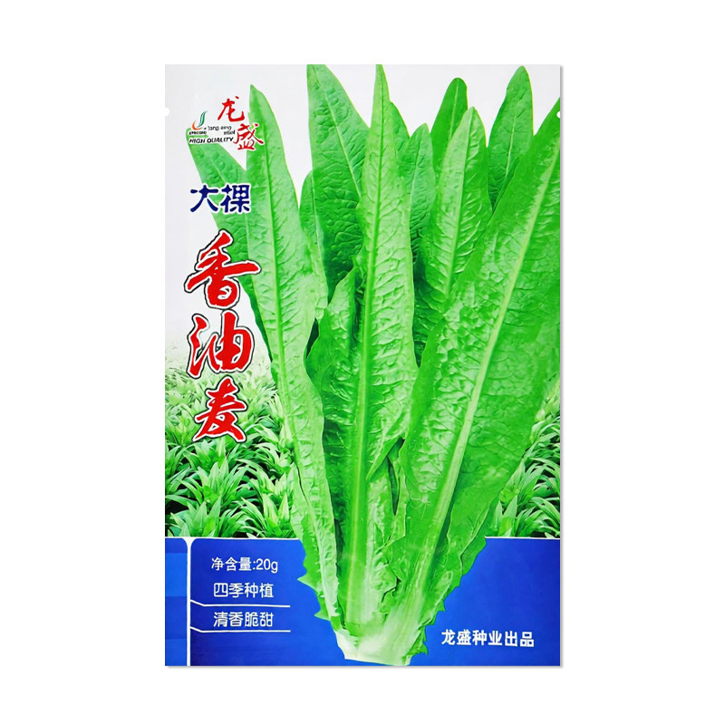 龙盛大颗香油麦菜种子