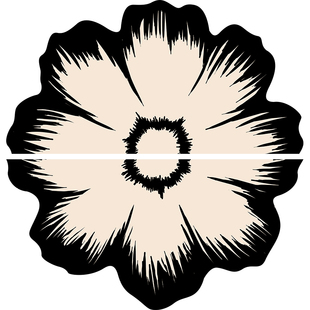 异形花朵浴室地垫卫生间防滑脚垫硅藻泥吸水厕所家用地毯脚踏垫子