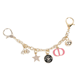 适用于Dior迪奥戴妃包toujours土著托特包装饰包链条肩带改造装饰