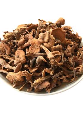 25年新头茬榛蘑新货野生自然晾晒