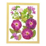 真树叶植物标本 diy手工书签相框儿童粘拼贴画材料包干花押花压花