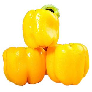 彩椒新鲜生吃甜椒黄色圆椒不辣太空椒红椒辣椒维C水果灯笼椒现摘