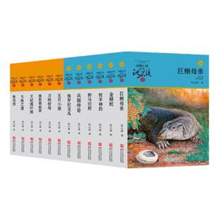 当当网正版童书 沈石溪动物小说全集全套12册橙蓝系列十大经典阅读大王系列小学生看的课外书三四五六年级课外书籍儿童故事书大全