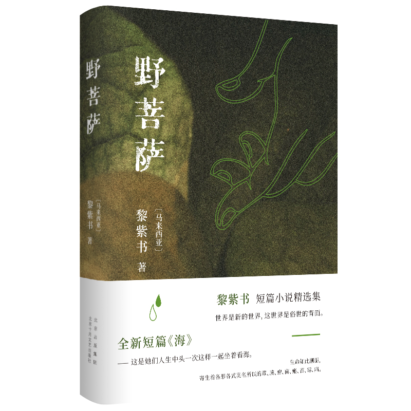 【旗舰店正版】 野菩萨 现货 黎紫书 《流俗地》作者短篇小说精选集 王德威推荐 马来西亚小说 新书余生 新经典图书 包邮