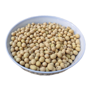 2024新豆安徽黄豆 做豆腐豆花豆浆专用 非转基因黄豆10斤装