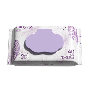 蝶雅丝湿厕纸家庭实惠装女性私处湿巾男士儿童孕妇擦屁股厕纸40抽