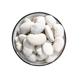 白芸豆500g当季新货大芸豆雪豆大白豆扁豆五谷杂粮炖猪脚大豆干货