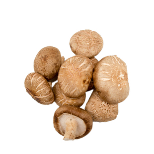 东升农场 东升香菇 花菇  新鲜 火锅食材 烧烤 广州新鲜配送300g