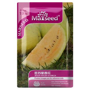 【新品推荐】进口古老传家宝密苏里西瓜爽口产量丰富种子孑籽苗