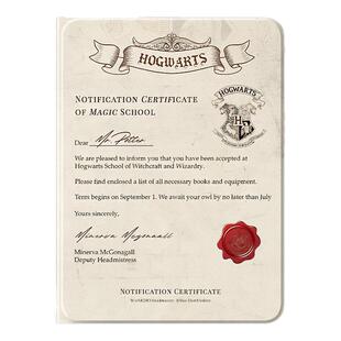 适用苹果ipad11代保护壳ipadair7平板保护套air6带9笔槽10哈利波特8防摔mini5录取通知书ipadpro11英寸3迷你4