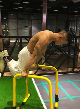 WRGD多功能室内单双杠 家用引体向上分体式双杠俯卧撑支架包邮