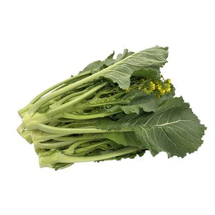 广州增城迟菜心新鲜现摘现发当季新鲜蔬菜农家有机肥种植顺丰包邮