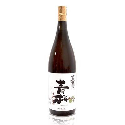 十代龙泉国产自然发酵日式纯米大吟酿清酒青梅酒10度微醺酒730ml