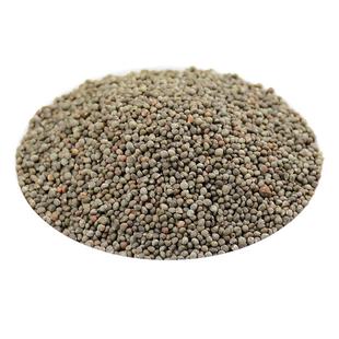 25年贵州酥麻籽精选2斤油性苏子农家生酥麻黑苏麻引子 特产苏麻籽