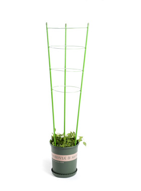 园艺用品藤本支架花卉植物