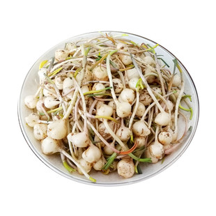 东北小根蒜种子野韭葱野葱野蒜阳台盆栽蔬菜种籽山蒜薤白大脑瓜孑