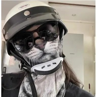 猫猫防晒面罩橘猫口罩猫咪面巾动物脸面巾防风口罩冰丝挂耳三角巾