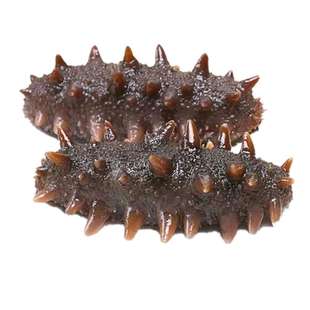 君旺海鲜 底播即食高压海参1斤8-12只大连长海县辽刺参冷冻独立装