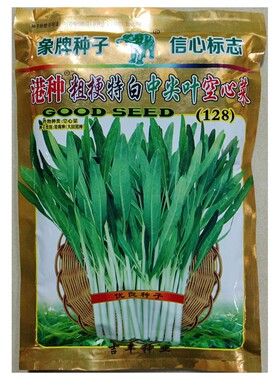 吉丰港种粗白梗空心菜种子通心菜