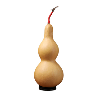 巨型特大葫芦种子超大亚腰小葫芦籽种观赏文玩八宝小葫芦种孑盆栽