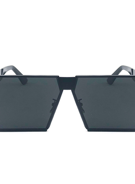 墨镜个性风女士太阳镜网红同款