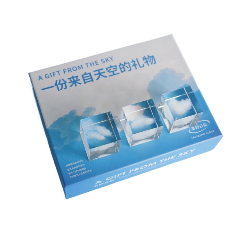 领养一朵云创意摆件生日礼物