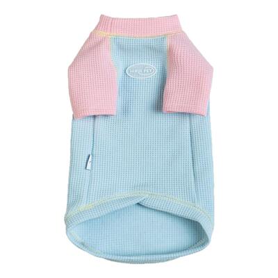 HOiiiPET小怪兽拼色德文猫卫衣