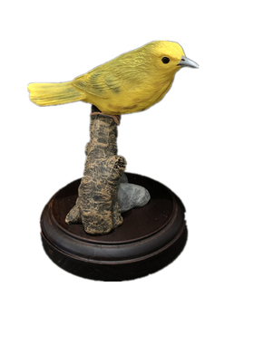 工艺别墅庭院绘画仿真鸟类摆件