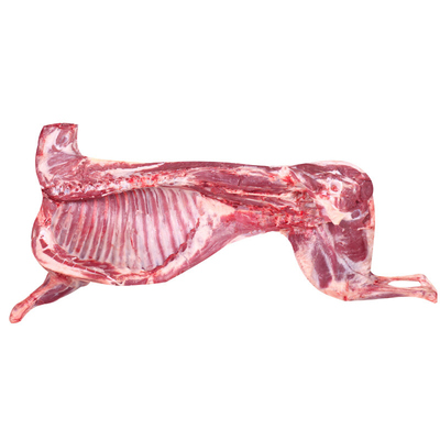 宁夏盐池滩羊16半只斤绵不带