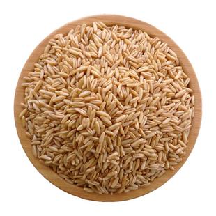 新米燕麦米坝上生燕麦仁煮饭熬粥农家内蒙燕麦粒原生裸燕麦5斤