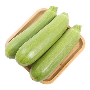 西葫芦新鲜寿光产地直发现摘番瓜菜瓜农家应季蔬菜茭瓜角瓜翠玉瓜