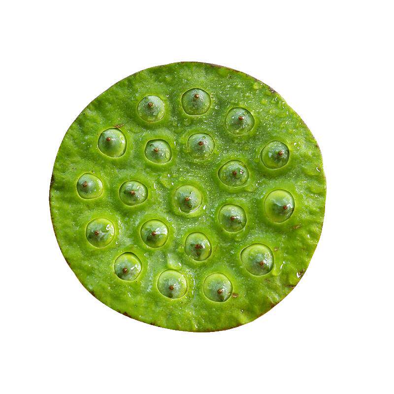 新鲜现摘莲蓬当季孕妇水果