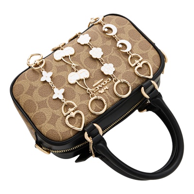 适用蔻驰Satchel18延长链2件套