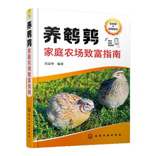 养鹌鹑家庭农场致富指南 鹌鹑场建设 优良鹌鹑品种的选择 鹌鹑场日常饲养管理疾病防治 鹌鹑产品加工 鹌鹑养殖技术人员指导书