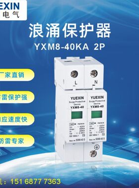 SPD批发光伏专用浪涌保护器 防雷2P20KA 家用避雷器 电涌