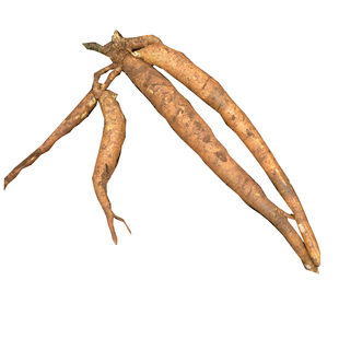 深山牛大力薯广东煲汤料金钟根农家新鲜现挖山莲藕泡酒煲汤草药材